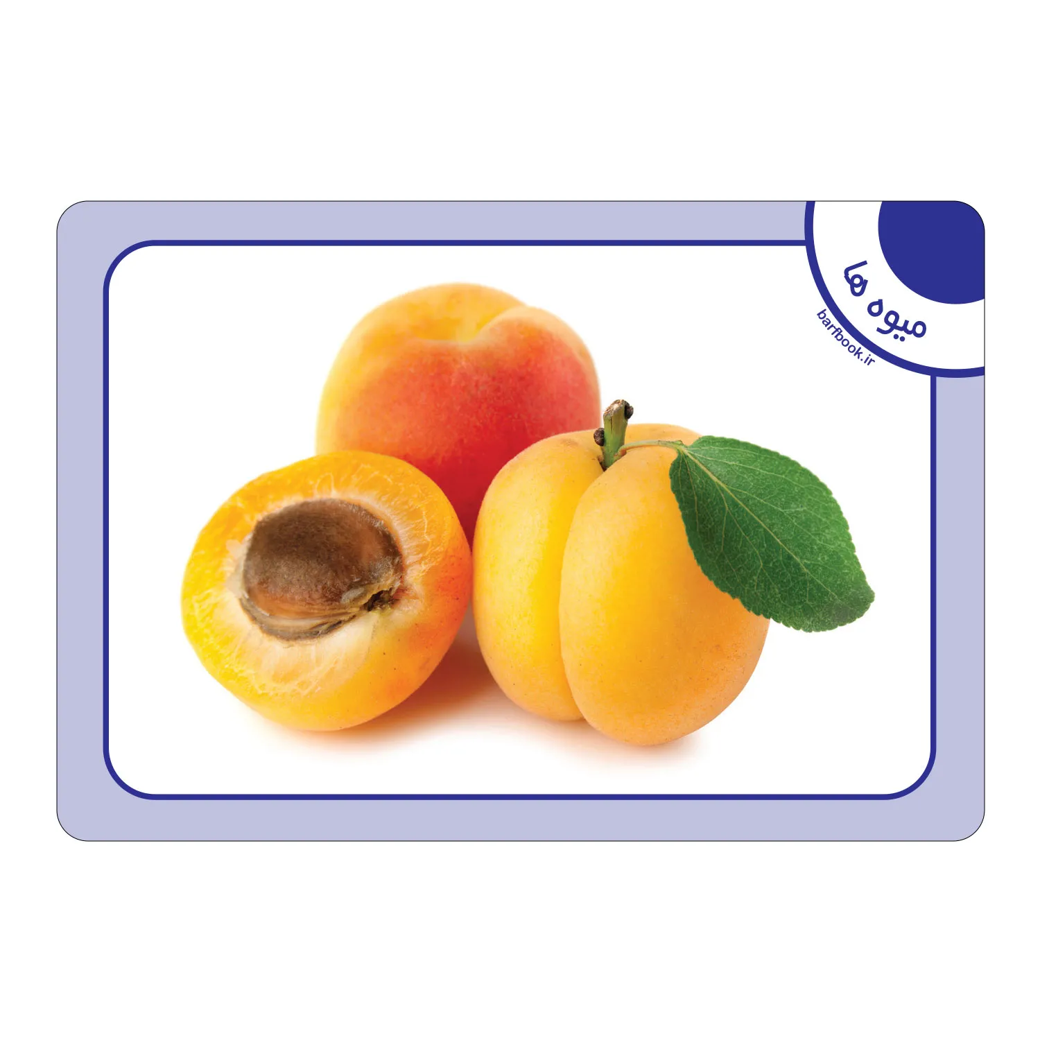 کارت فلش كارت ميوه ها